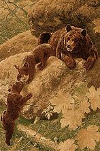 Ковер DA VINCI z906 BROWN