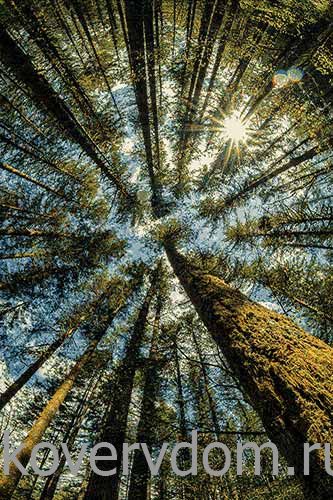 Детский ковер Кристэл С026