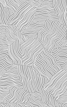 Ковер BRIZ F658 GRAY